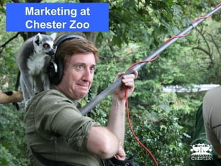 Marketing at Chester Zoo 