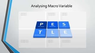 Analysing MacroVariable
 