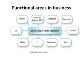 Functional areas in business
 