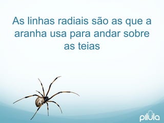 As linhasradiaissãoas quea aranhausaparaandarsobreas teias  