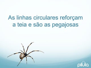 As linhascircularesreforçama teiae sãoas pegajosas  