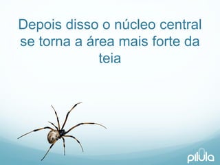 Depoisdisso o núcleocentral se tornaa áreamaisforte da teia  