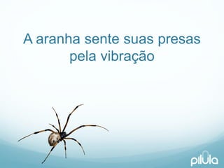 A aranhasentesuaspresaspelavibração  