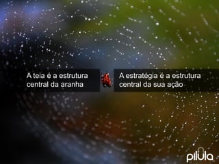 A estratégiaéa estrutura 
central da suaação 
A teiaéa estrutura 
central da aranha  