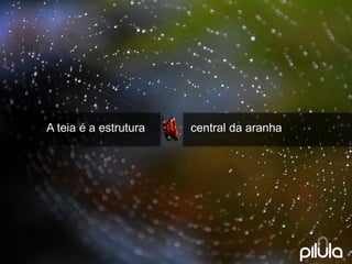 central da aranha 
A teiaéa estrutura  