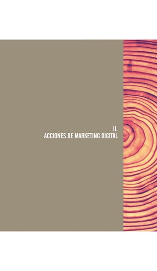 II.
ACCIONES DE MARKETING DIGITAL
 