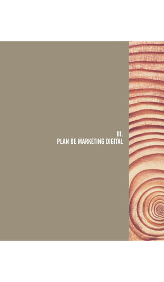 III.
PLAN DE MARKETING DIGITAL
 
