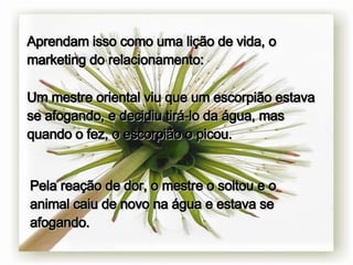 Aprendam isso como uma lição de vida, o marketing do relacionamento: Um mestre oriental viu que um escorpião estava se afogando, e decidiu tirá-lo da água, mas quando o fez, o escorpião o picou.   Pela reação de dor, o mestre o soltou e o animal caiu de novo na água e estava se afogando.   