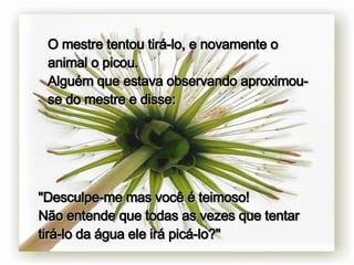 O mestre tentou tirá-lo, e novamente o animal o picou.  Alguém que estava observando aproximou-se do mestre e disse: "Desculpe-me mas você é teimoso!  Não entende que todas as vezes que tentar tirá-lo da água ele irá picá-lo?" 