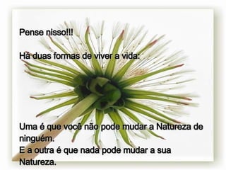 Pense nisso!!! Há duas formas de viver a vida: Uma é que você não pode mudar a Natureza de ninguém. E a outra é que nada pode mudar a sua Natureza. 