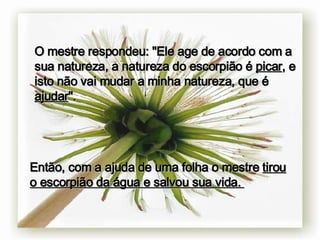 O mestre respondeu: "Ele age de acordo com a sua natureza, a natureza do escorpião é  picar , e isto não vai mudar a minha natureza, que é  ajudar ".   Então, com a ajuda de uma folha o mestre  tirou o escorpião da água e salvou sua vida.   