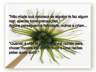 " Não mude sua natureza se alguém te faz algum mal; apenas tome precauções." Alguns perseguem a felicidade, outros a criam... "Quando a vida te apresentar mil razões para chorar, mostre-lhe que tens mil e uma razões pelas quais sorrir." 