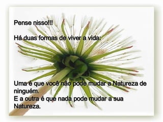 Pense nisso!!! Há duas formas de viver a vida: Uma é que você não pode mudar a Natureza de ninguém. E a outra é que nada pode mudar a sua Natureza. 