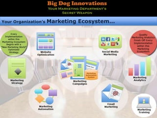 Your Organization’s   Marketing Ecosystem...
 