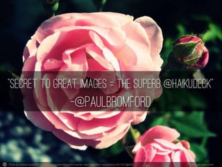 Photo by Juliana Coutinho - Creative Commons Attribution License http://www.flickr.com/photos/10217810@N05 Created with Haiku Deck 
 