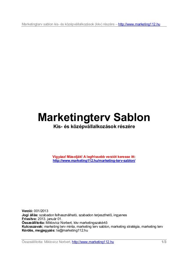 Marketing terv sablon (bemutató)