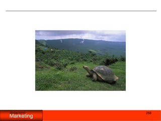 Actitud y comportamiento.EjecuciónCompetir al máximo unas empresas con otras.Aumentar su beneficios respetando las reglas de juego.Aumentar la participación de mercado en forma continua.Ganar cuota de mercado es esencial y crucial para la economía global.05/11/2009264