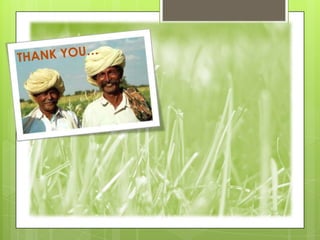 Marketing agriculture produce