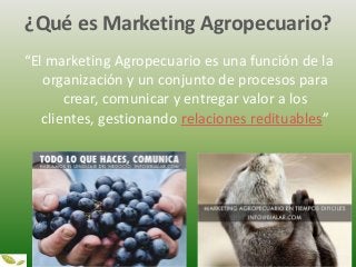 ¿Qué es Marketing Agropecuario?
“El marketing Agropecuario es una función de la
organización y un conjunto de procesos par...