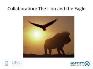 Collaboration: The Lion and the Eagle
 