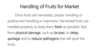 Marketing and Selling Fruits | PPTX