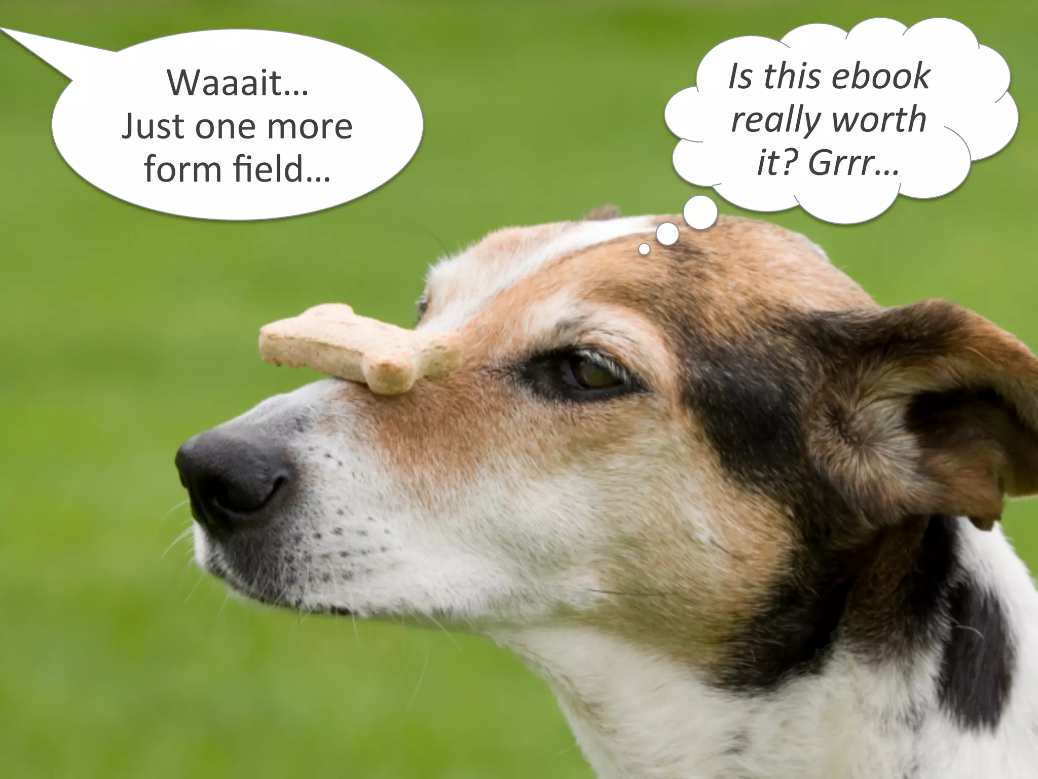 Waaait…	
  
Just	
  one	
  more	
  
form	
  ﬁeld…	
  
Is	
  this	
  ebook	
  
really	
  worth	
  
it?	
  Grrr…	
  
 