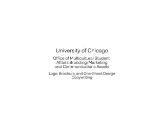 University of Chicago
Office of Multicultural Student
Affairs Branding/Marketing
and Communications Assets
Logo, Brochure, and One-Sheet Design
Copywriting
 