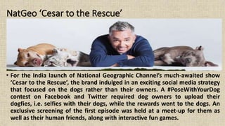 NatGeo ‘Cesar to the Rescue’
• For the India launch of National Geographic Channel’s much-awaited show
‘Cesar to the Rescue’, the brand indulged in an exciting social media strategy
that focused on the dogs rather than their owners. A #PoseWithYourDog
contest on Facebook and Twitter required dog owners to upload their
dogfies, i.e. selfies with their dogs, while the rewards went to the dogs. An
exclusive screening of the first episode was held at a meet-up for them as
well as their human friends, along with interactive fun games.
 
