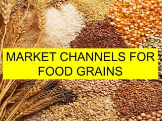 MARKET CHANNELS FOR
FOOD GRAINS
 