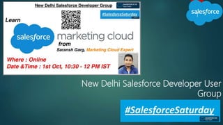 New Delhi Salesforce Developer User
Group
1
 