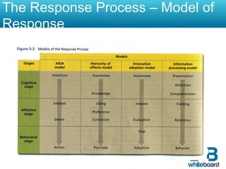 The Response Process – Model of
Response
 