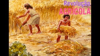 Revolução
AGRÍCOLA
 