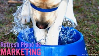 Refresh Plano de
MARKETING Foto By: Len Matthews
 