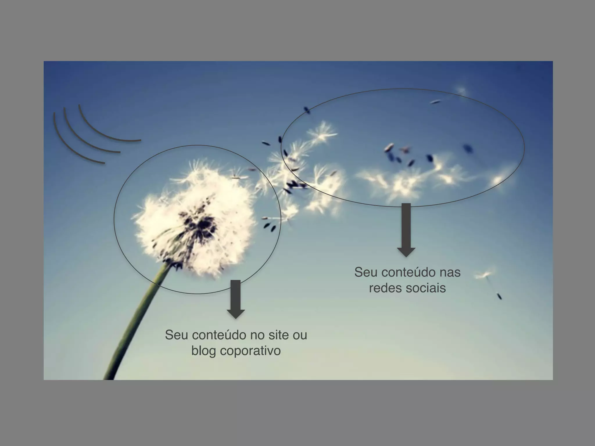 Seu conteúdo no site ou
blog coporativo
Seu conteúdo nas
redes sociais
 