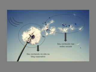 Seu conteúdo no site ou
blog coporativo
Seu conteúdo nas
redes sociais
 