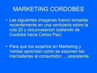 MARKETING   CORDOBES ,[object Object],[object Object]