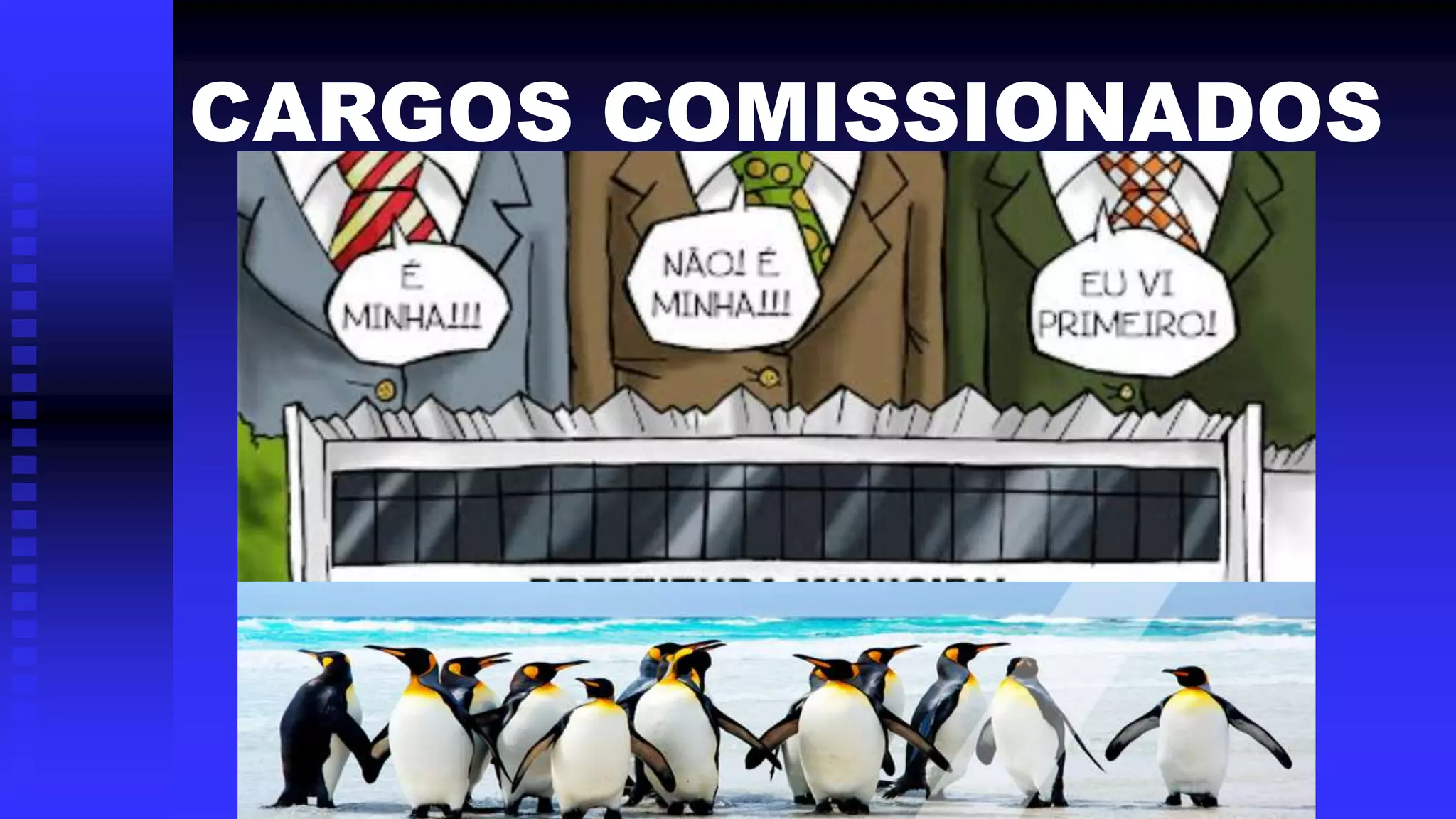 CARGOS COMISSIONADOS
 