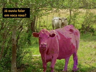  Marketing baseado na permissão.