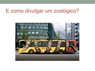 E como divulgar um zoológico?
 