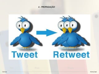 Vitor Nunes Marketing Digital
6 - PROPAGAÇÃO
 