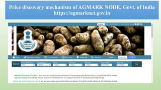 agri marketing in digital era for better price discovery | PPTX