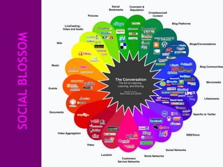 SOCIAL BLOSSOM
 