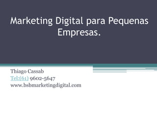 Marketing Digital para Pequenas
          Empresas.


Thiago Cassab
Tel:(61) 9602-5647
www.bsbmarketingdigital.com
 