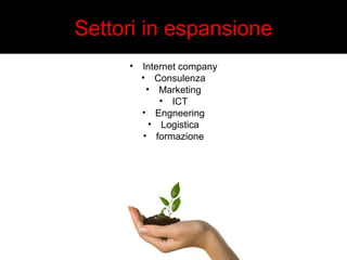 Settori in espansione 
• Internet company 
• Consulenza 
• Marketing 
• ICT 
• Engneering 
• Logistica 
• formazione 
 