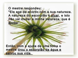 O mestre respondeu:O mestre respondeu:
"Ele age de acordo com a sua natureza."Ele age de acordo com a sua natureza.
A natureza do escorpião éA natureza do escorpião é picarpicar, e isto, e isto
não vai mudar a minha natureza, que énão vai mudar a minha natureza, que é
ajudarajudar".".
Então, com a ajuda de uma folha oEntão, com a ajuda de uma folha o
mestremestre tirou o escorpião da água etirou o escorpião da água e
salvou sua vida.salvou sua vida.
 