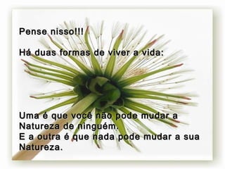 Pense nisso!!!Pense nisso!!!
Há duas formas de viver a vida:Há duas formas de viver a vida:
Uma é que você não pode mudar aUma é que você não pode mudar a
Natureza de ninguém.Natureza de ninguém.
E a outra é que nada pode mudar a suaE a outra é que nada pode mudar a sua
Natureza.Natureza.
 