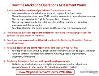 Marketing Efficiency Assessment