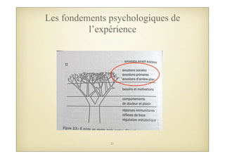 Les fondements psychologiques de
l’expérience
21
 
