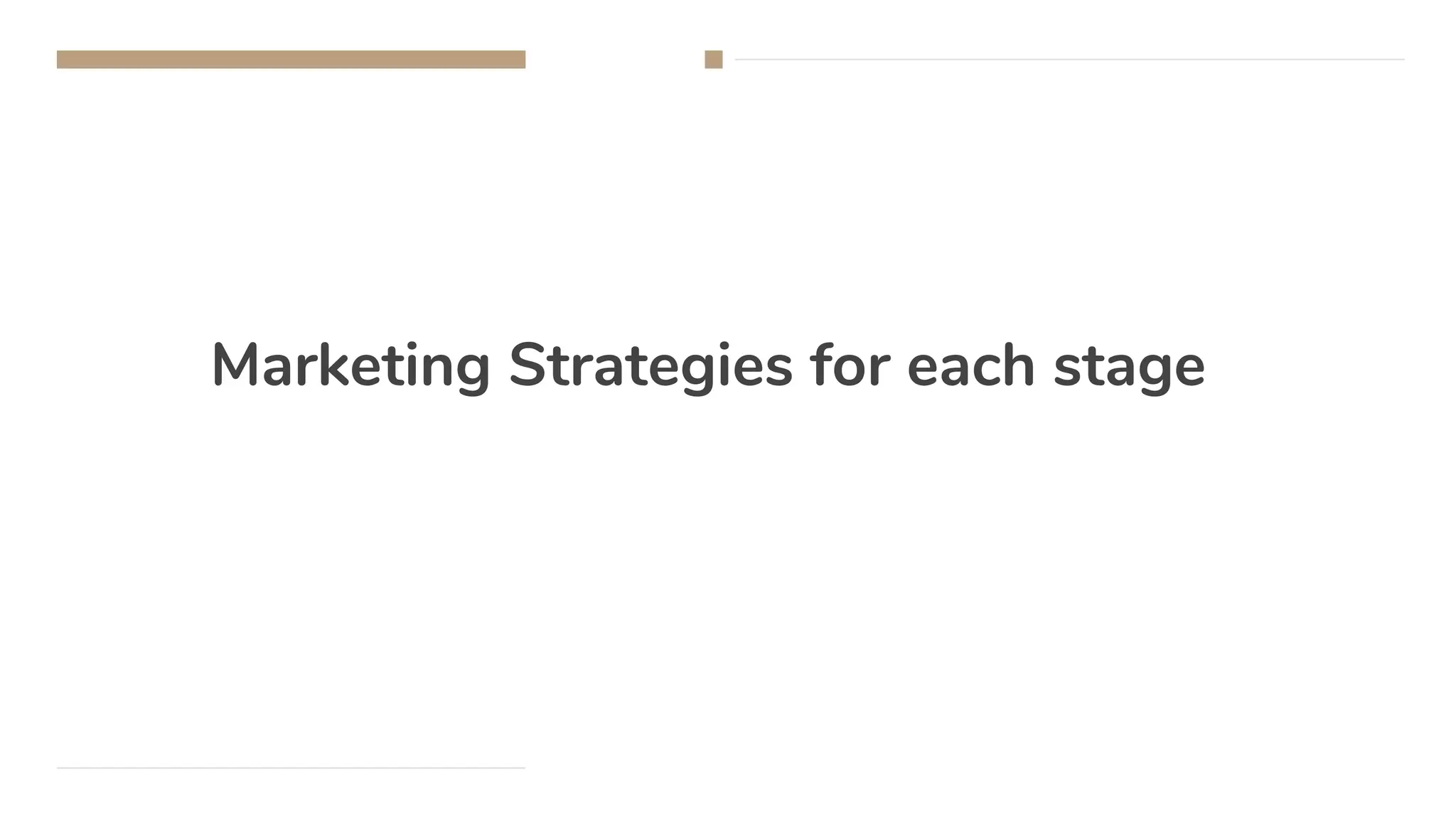 Marketing Strategies for each stage
 