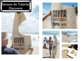 Semana do Tubarão Discovery 